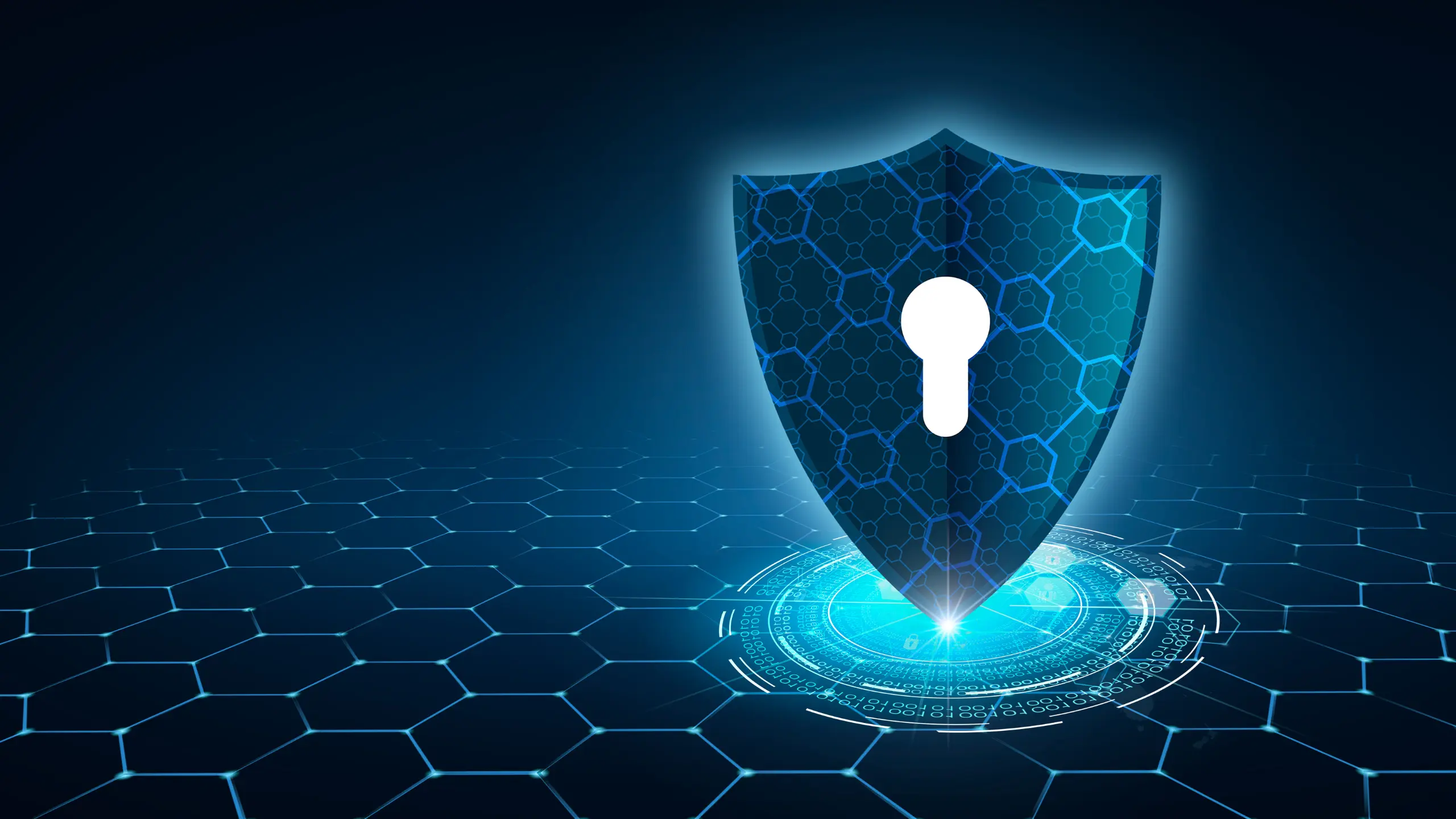 securite-des-donnees bouclier de sécurité internet
