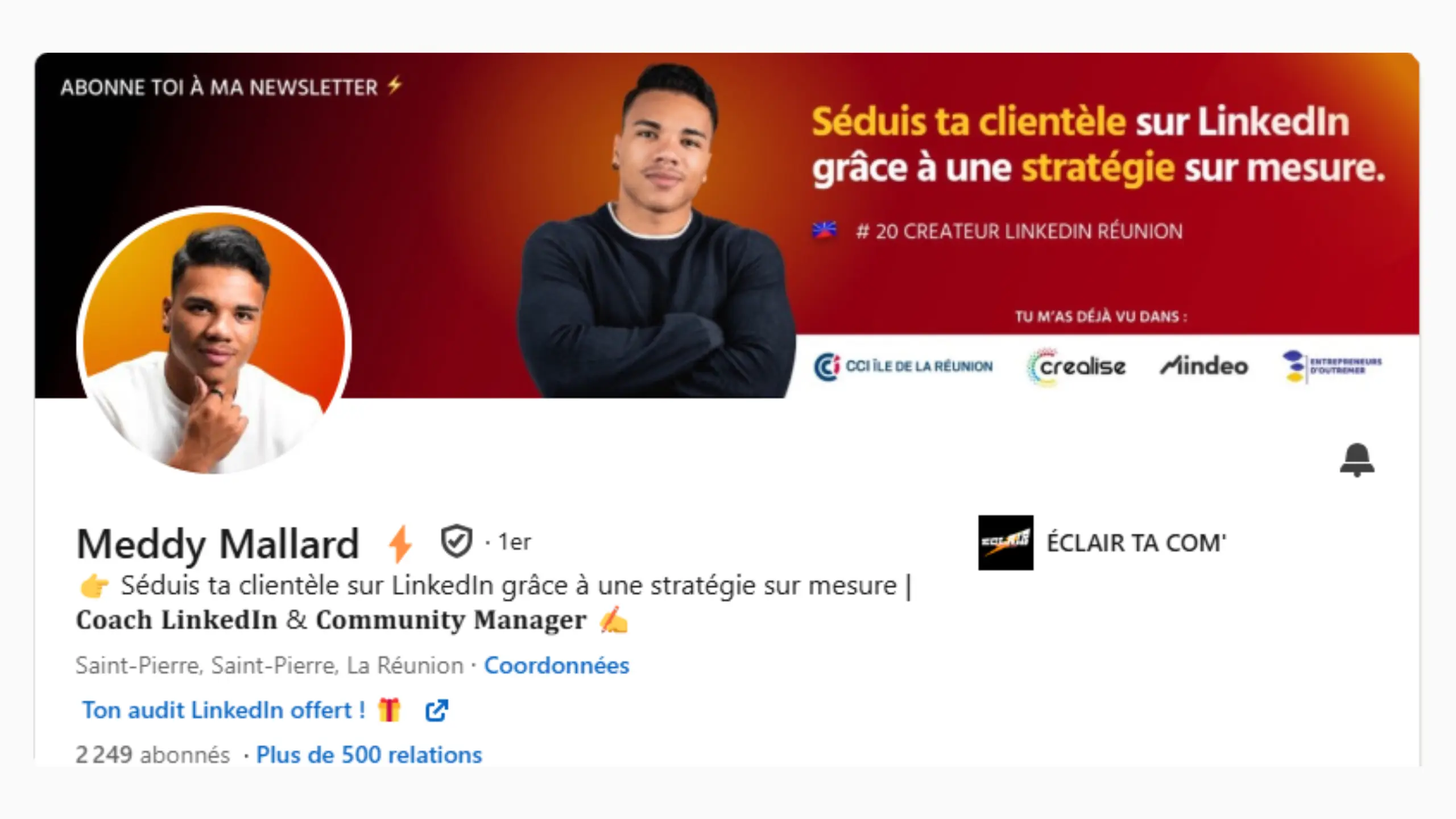 profile-meddy image générer par ia de plein de feuilles avec des statistique